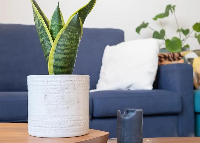 Bed & Breakfast Nomad Ready 3*